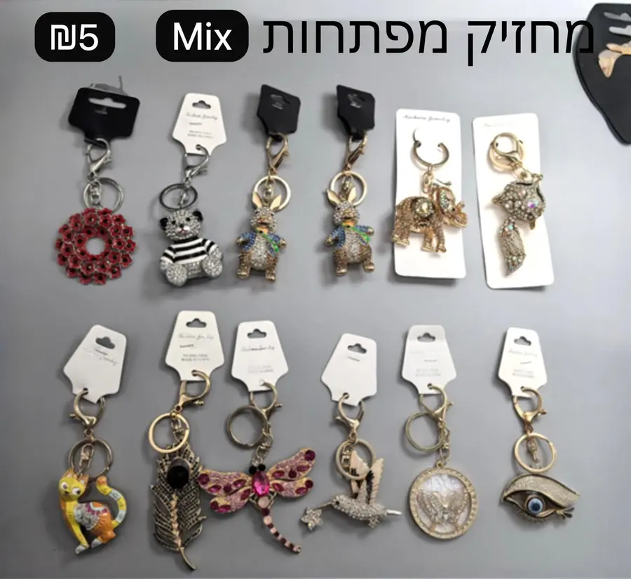 מחזיק מפתחות MIX