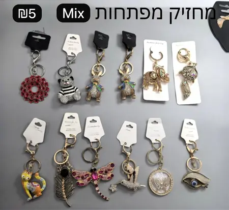 מחזיק מפתחות MIX